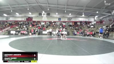 125 lbs 3rd Place Match - Anthony Aniciete, Tiffin vs Isaiah Gamez, Adams State