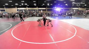 109 lbs Quarterfinal - Hallie Villareal, Eastern Sabers vs Taylen Chanley, Team Temecula