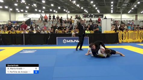 Ann Marie Kneib vs Tayane Porfírio De Araújo 2024 World Masters IBJJF Jiu-Jitsu Championship