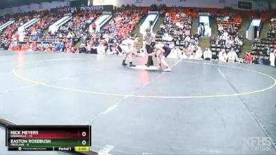 106 lbs Semifinals (8 Team) - Nick Meyers, Greenville vs Easton Rosebush, Freeland