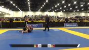 Matthew Joel Davidson vs Michael Andrew Hoffmann 2025 World IBJJF Jiu-Jitsu No-Gi Championship