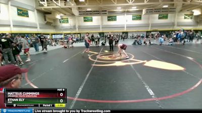 130 lbs Quarterfinal - Matteus Cummings, Spearfish Youth Wrestling vs Ethan Ely, PWC