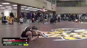 141 lbs Cons. Round 2 - Robert Palmieri, Baldwin Wallace vs Mike Rubino, Delaware Valley