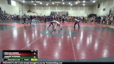 65 lbs Quarterfinal - Waylon Norris, Summit Wrestling Academy vs Parker Mckenna, RT Elite