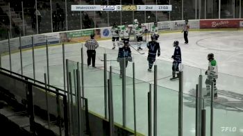 Replay: Home - 2024 Buzzer vs Cougars | Jan 17 @ 7 PM