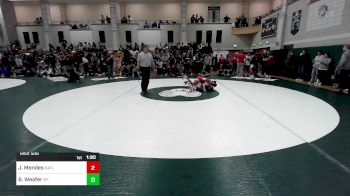 113 lbs Quarterfinal - Jayden Mendes, North Attleborough vs Brooke Weafer, Bristol-Plymouth