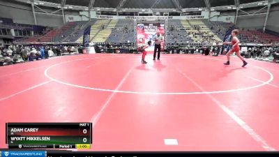 110 lbs Quarterfinal - Wyatt Mikkelsen, IL vs Adam Carey, IA