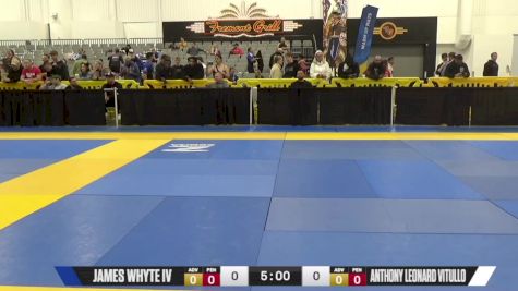 Anthony Leonard Vitullo vs James Whyte IV 2024 World IBJJF Jiu-Jitsu No-Gi Championship