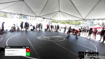 190 lbs Final - Delton Kaufmann, Mountain View HS vs Carter Vannest, Vasky Bros