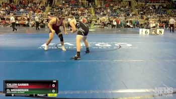 215 lbs Quarterfinal - CL Weinberger, New Salem-Almont vs Callen Garber, Carrington