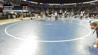 124 lbs Quarterfinal - Nathan Yoder, Palisades vs Brandt Hite, Altoona