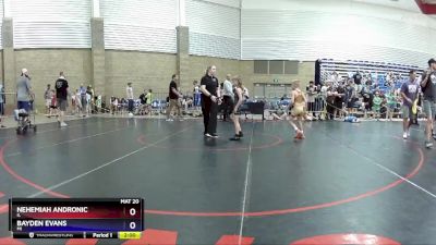 71 lbs Quarterfinal - Nehemiah Andronic, IL vs Bayden Evans, MI