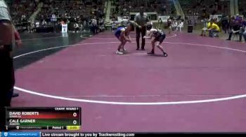 113 lbs Champ. Round 1 - David Roberts, Baker HS vs Cale Garner, Auburn