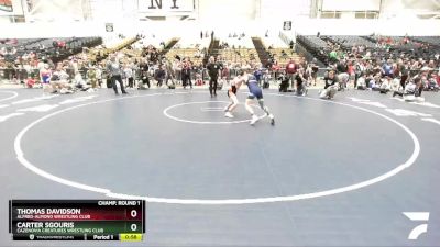 110 lbs Champ. Round 1 - Thomas Davidson, Alfred-Almond Wrestling Club vs Carter Sgouris, Cazenovia Creatures Wrestling Club