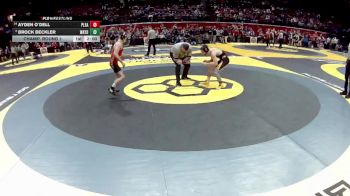 D3-113 lbs Champ. Round 1 - Brock Beckler, Waynedale vs Ayden O`Dell, Pleasant