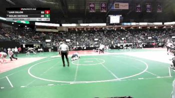 177 lbs Champ. Round 2 - Nolan Dietrich, AWRA vs Liam Dillon, NBHA