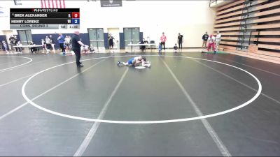 71 lbs Cons. Round 3 - Brek Alexander, IL vs Henry Lorenz, WI