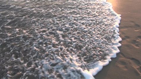 We're Here at the 2016 Brooks Mt. SAC Relays