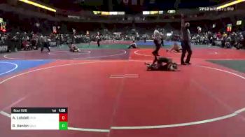 65 lbs Quarterfinal - Alexander Lobdell, Chain Wrestling vs Bronx Hanlon, Gold Rush