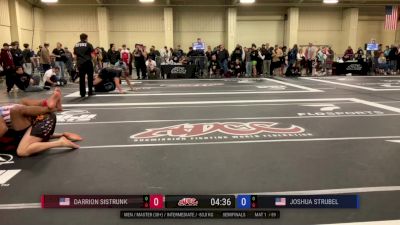 Darrion Sistrunk vs Joshua Strubel 2025 ADCC Charlotte Open