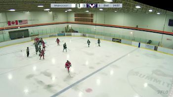 Replay: Vipr - 2024 Delta White vs Yale | Dec 16 @ 1 PM