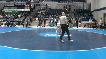 133 lbs Cons. Round 3 - Brock Christian, Mount Olive vs Caiden Pelc, Newberry