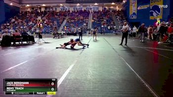 113 lbs Champ. Round 1 - Jack Bergmann, Lakeland Regional vs Remy Trach, Nazareth