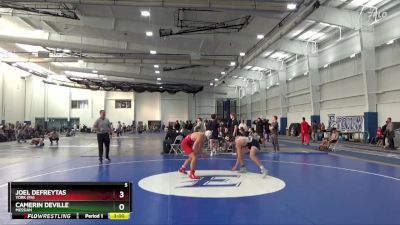 141 lbs Cons. Semi - Dom Vinci, Cortland State vs Asa Brunk, Messiah