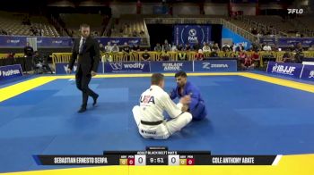Cole Anthony Abate vs Sebastian Ernesto Serpa 2026 Pan Jiu Jitsu IBJJF Championship