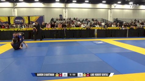 Aaron S Hartman vs Luke Robert Gentile 2024 World IBJJF Jiu-Jitsu No-Gi Championship