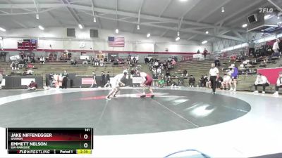 141 lbs Quarterfinal - Emmett Nelson, UW-Parkside vs Jake Niffenegger, Gannon