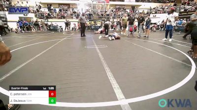 61 lbs Quarterfinal - Cayden Petersen, Lions Wrestling Academy vs Jean-Pierre DeJesus, Team Of Hard Knox