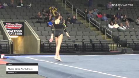 Alyssa Dillon North Stars - Floor
