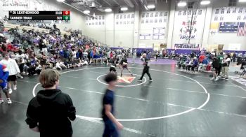 113 lbs Champ. Round 3 - Dj Leathewood, Waukesha West vs Tanner Tran, Father Ryan