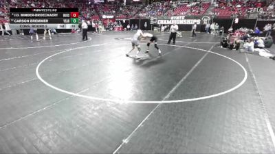 D1-150 lbs Cons. Round 2 - J.D. Minder-Broeckaert, Hudson vs Carson Bremmer, Verona Area