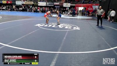 138G Cons. Round 3 - Riley Boney, Bethel High School vs Nevaeh Copeland, East Anchorage High School