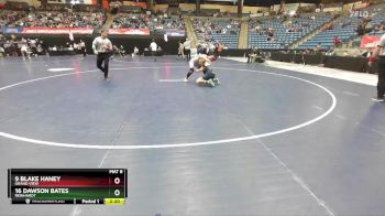 149 lbs Cons. Round 3 - 9 Blake Haney, Grand View vs 16 Dawson Bates, Reinhardt