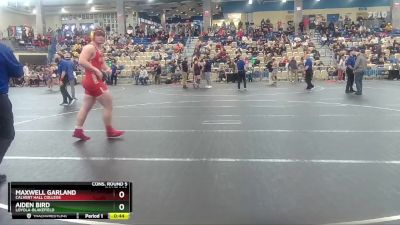 215 lbs Cons. Round 5 - Maxwell Garland, Calvert Hall College vs Aiden Bird, Loyola-Blakefield