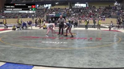 132 lbs Semifinal - Diva Hall, Moore vs Sophie Anderson, Walton-Verona