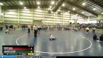 43 lbs Quarterfinal - Tripp Dias, Trail Blazer WC vs Henrik Olson, Salem Elite Mat Club