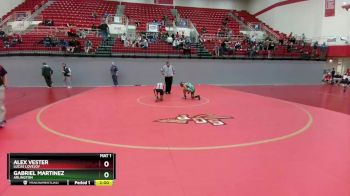 106 lbs Round 4 - Gabriel Martinez, Arlington vs Alex Vester, Lucas Lovejoy