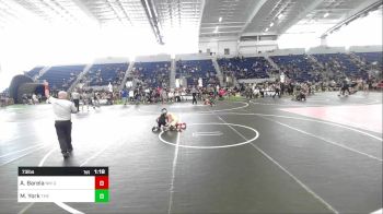 73 lbs Quarterfinal - Andy Barela, NM Gold vs Masen York, The Process WC