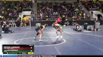 110 lbs Semifinal - Jalynn Goodale, Osage vs Adyson Lundquist, Southwest Valley