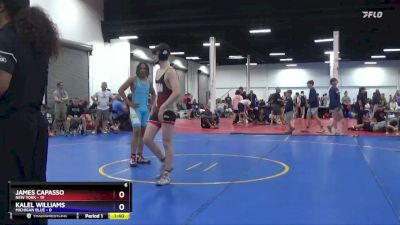 165 lbs Round 1 (8 Team) - James Capasso, New York vs Kalel Williams, Michigan Blue