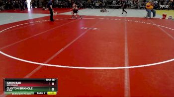 110 lbs Cons. Round 2 - Gavin Rau, New Prague vs Clayton Birkholz, HLWW