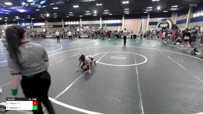 65 lbs Round Of 16 - Dracen Pollock, Eastside United vs Reynaldo Gallegos, NM Gold