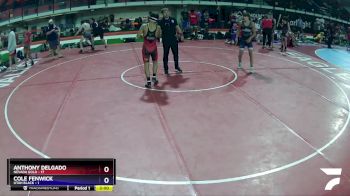 138 lbs Quarters & Wb (16 Team) - ANTHONY DELGADO, Nevada GOLD vs Cole Fenwick, Utah Black