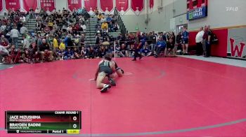 138 lbs Champ. Round 1 - Brayden Badini, Mountain Vista vs Jace Mizushima, Fruita Monument