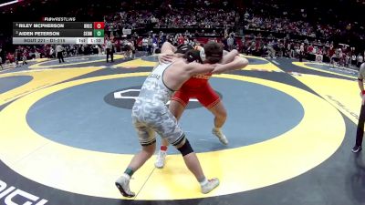 D1-215 lbs Semifinal - Aiden Peterson, St. Edward vs Riley McPherson, Brecksville