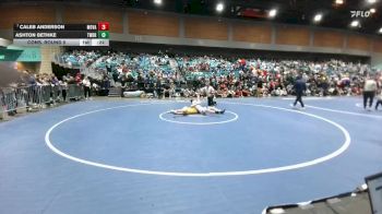 138 lbs Cons. Round 5 - Ashton Bethke, Twelve Bridges vs Caleb Anderson, Moapa Valley